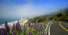 california coast